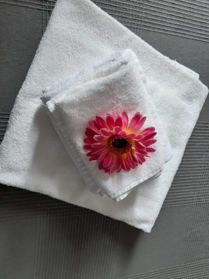 Magnolia Hotel Валмонтоне Екстериор снимка
